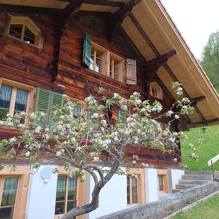 Dorfblick Apartment Kiental Exterior photo