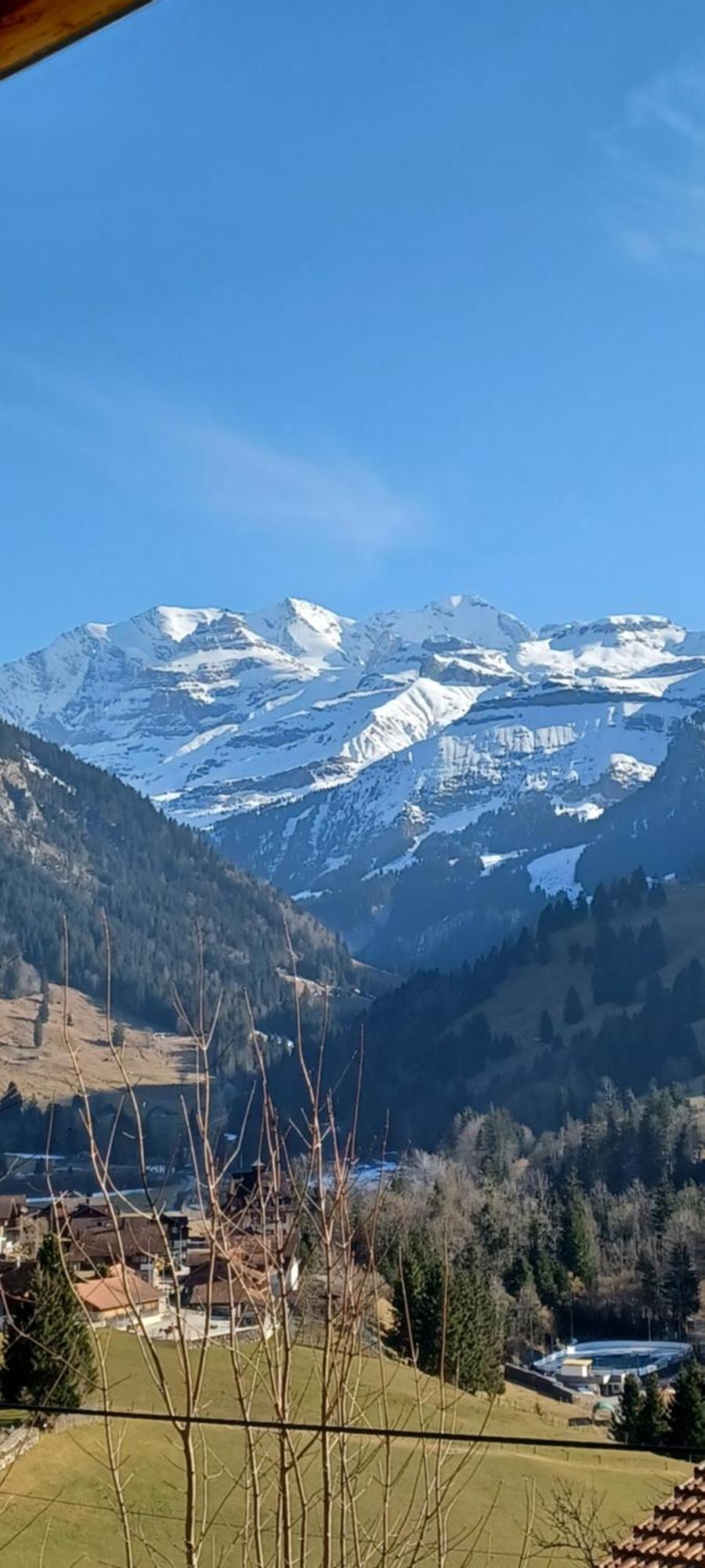 Dorfblick Appartamento Kiental
