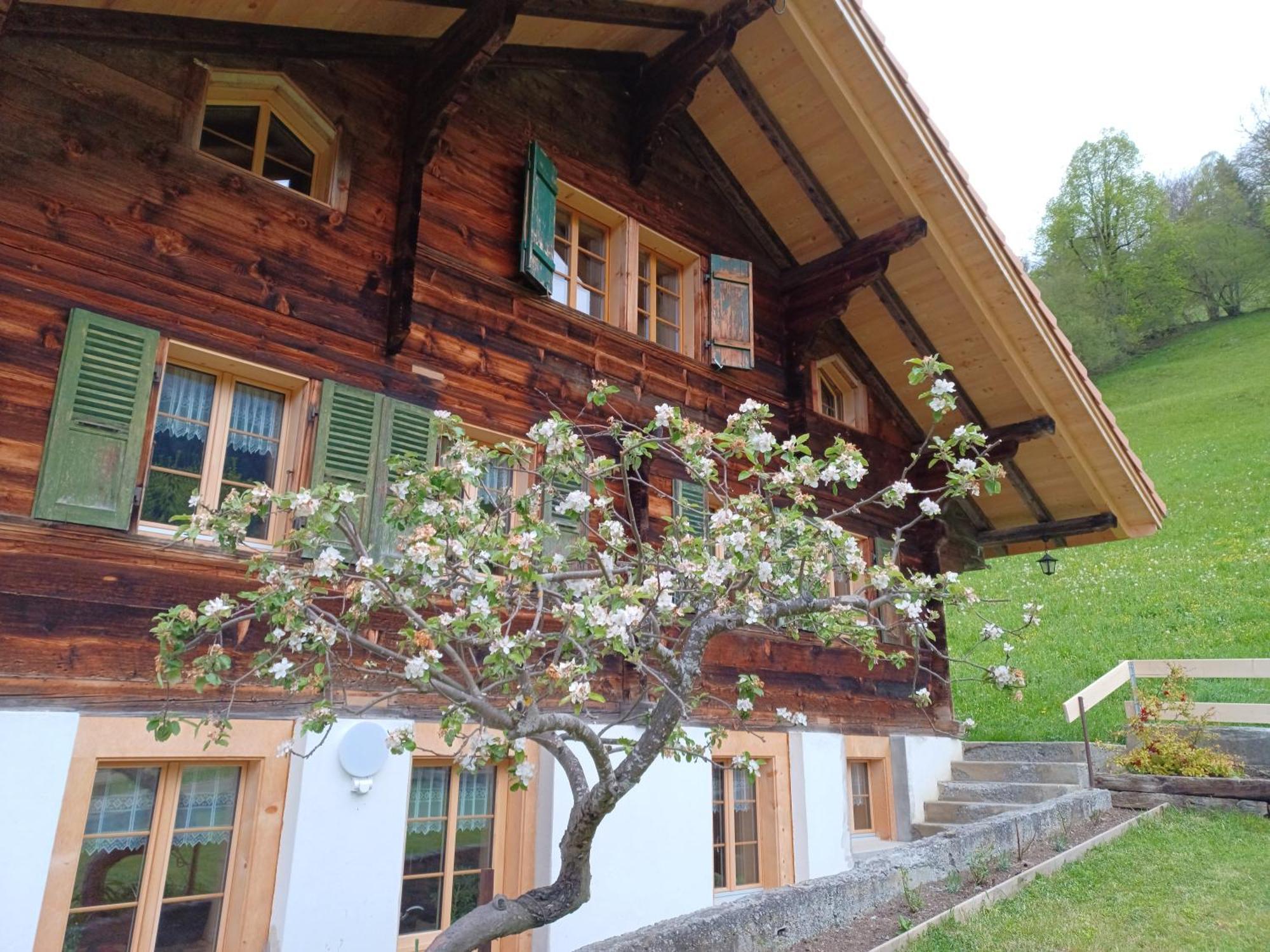 Dorfblick Appartamento